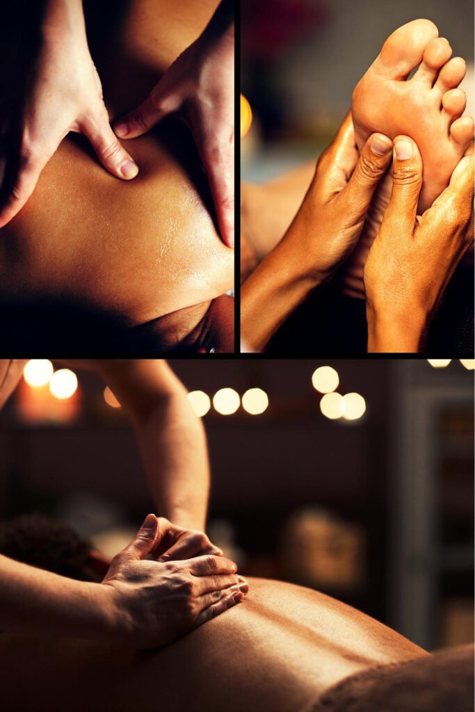 Endocannabinoid system