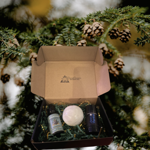 focusandrecoverygiftset